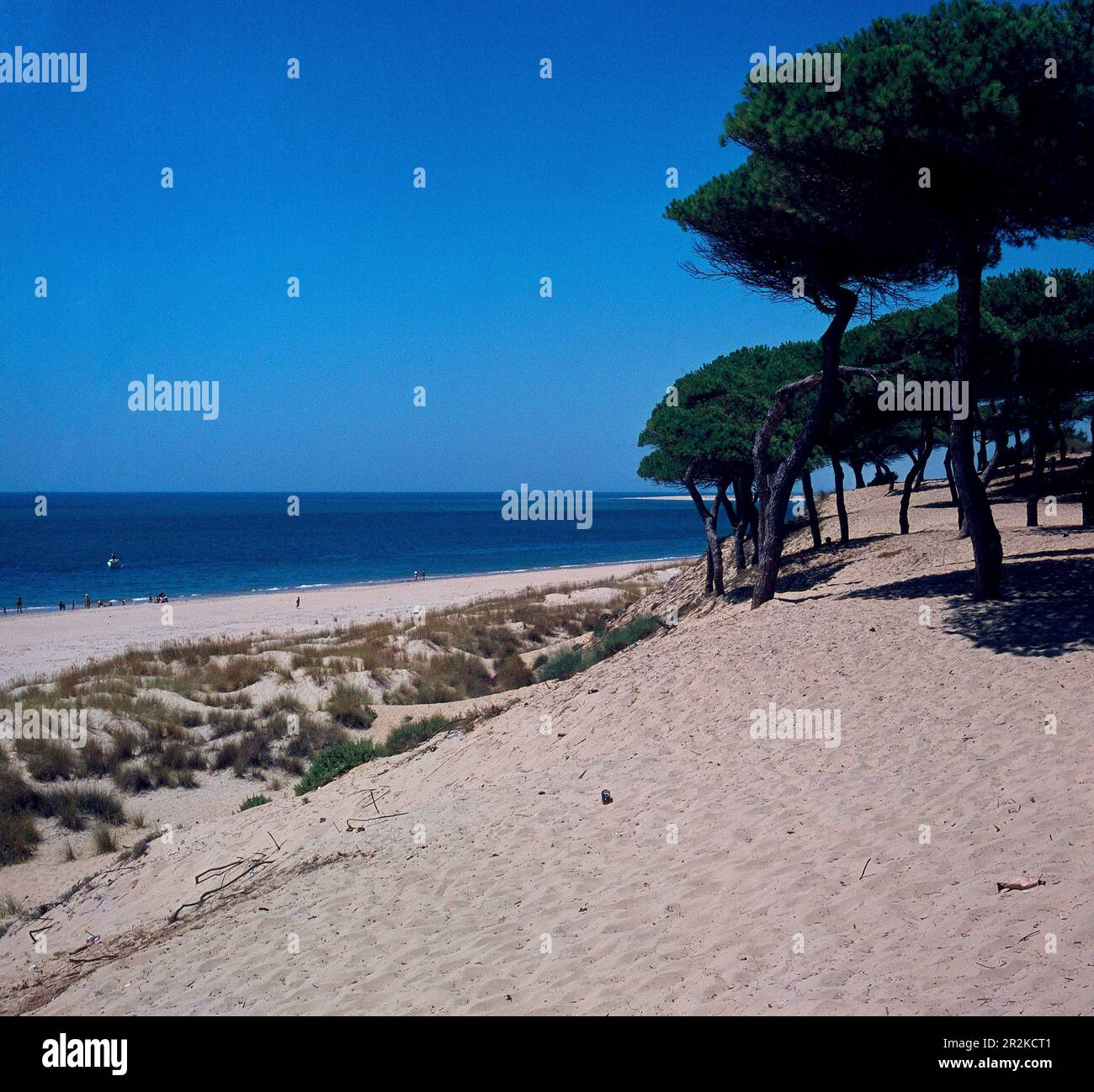 PLAYA - FOTO AÑOS 60. Location: EXTERIOR. ROMPIDO EL. Huelva. SPAIN ...