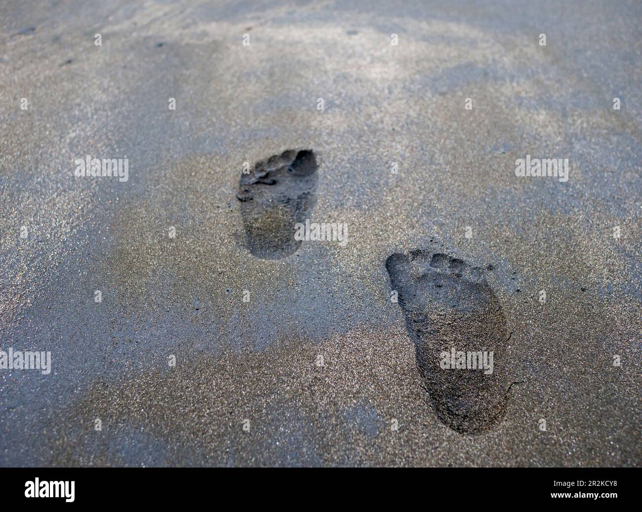 Foot prints on the sandy beach, in Parangtritis Beach, Yogyakarta, Indonesia Stock Photo