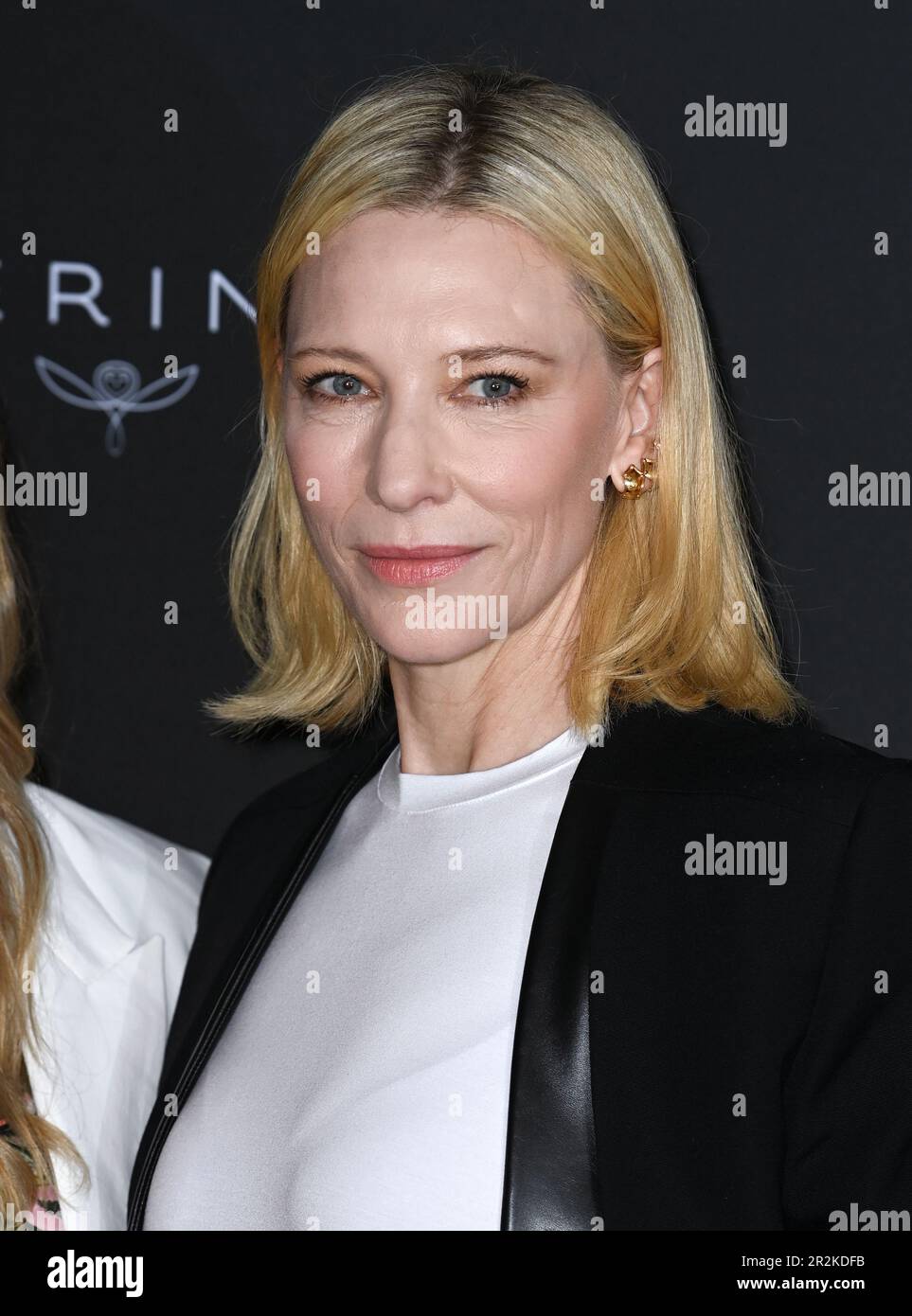 Cannes, France. 20th May, 2023. Cannes, France. May 20th, 2023 Cate Blanchett at the photocall for KERING Women In Motion Talk, part of the 76th Cannes Film Festival, Majestic Hotel. Credit: Doug Peters/Alamy Live News Stock Photo