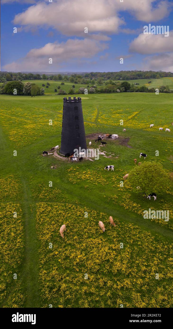 Beverley Westwood, Beverley UK Stock Photo Alamy