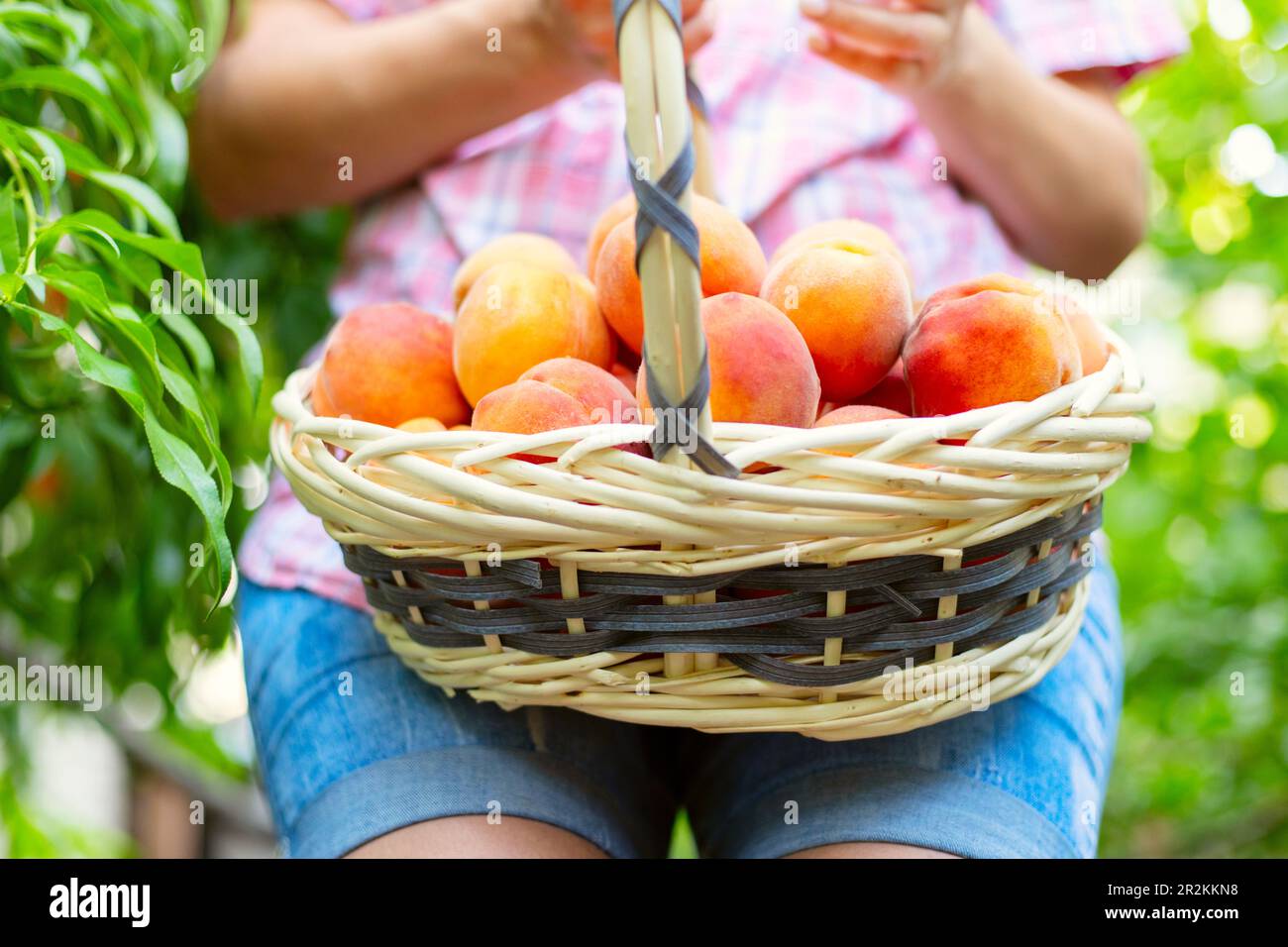 Farmer holding wicker basket hi-res stock photography and images - Alamy