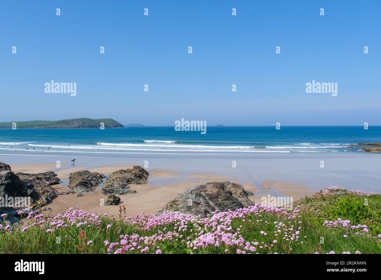 Polzeath pinks hires stock photography and images Alamy