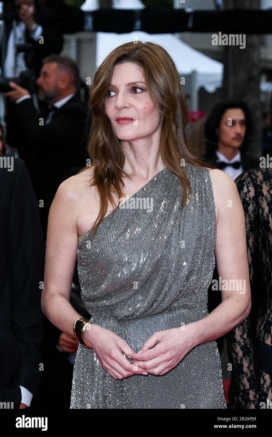 Chiara Mastroianni 76th Cannes Film Festival Red Carpet Of The Movie chiara-mastroianni-76th-cannes-film-festival-red-carpet-of-the-movie