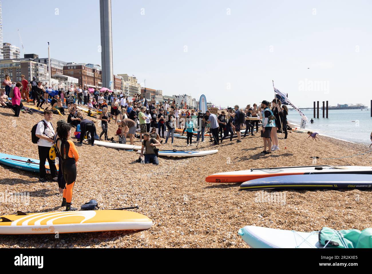 Hove Beach, City of Brighton & Hove, East Sussex, UK. Environmental