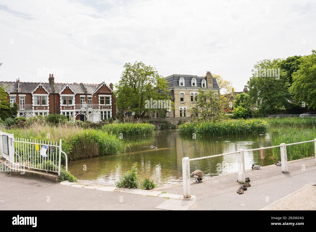 Homes and property surrounding Kew Green, Kew, London, England, UK