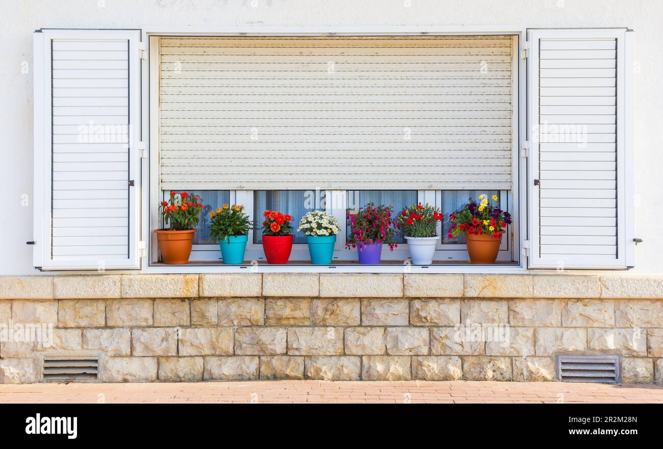 Colorful pots with plants in the windowsill of a typical Spanish home