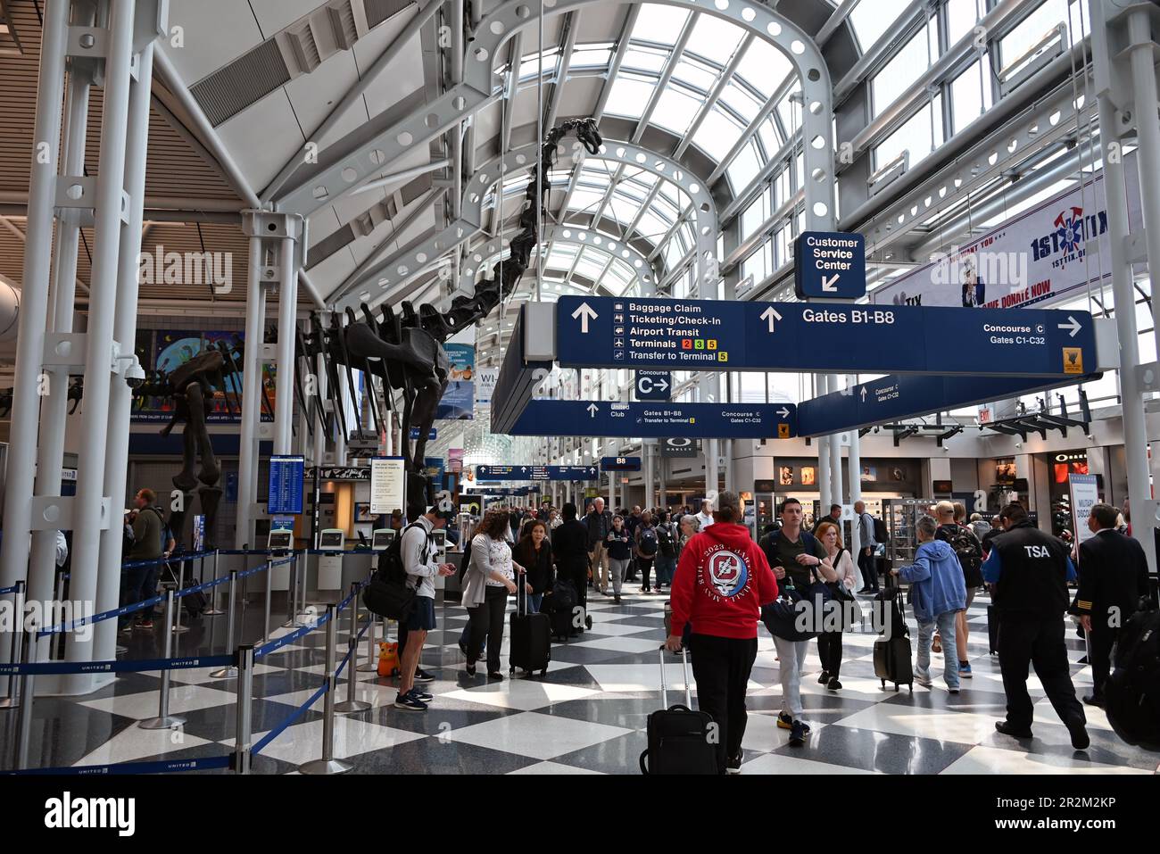 Travelers walk past the 45foot tall brachiosaurus skeleton in