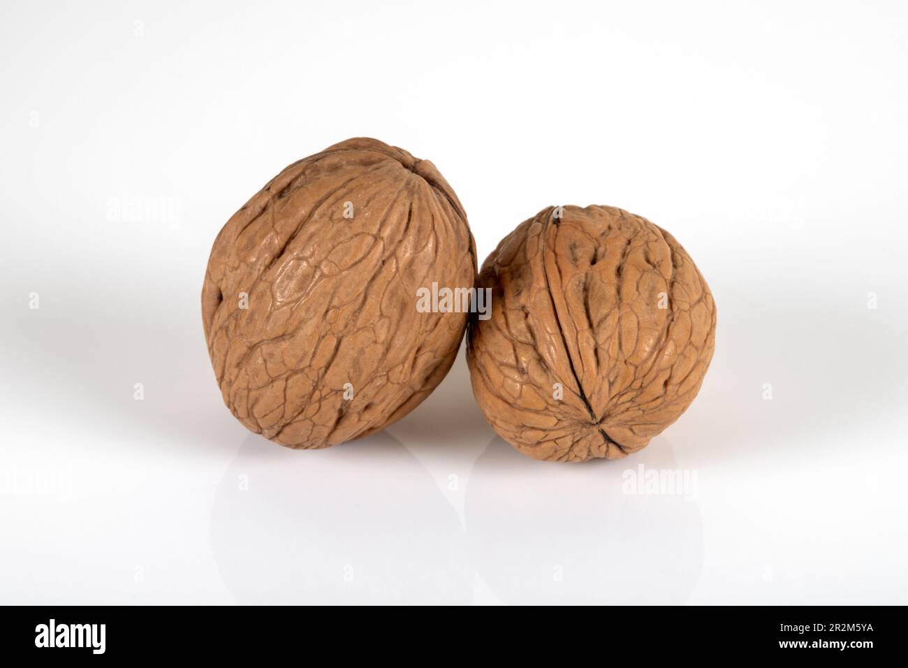 Two shelled walnuts on a white background,closeup Stock Photo