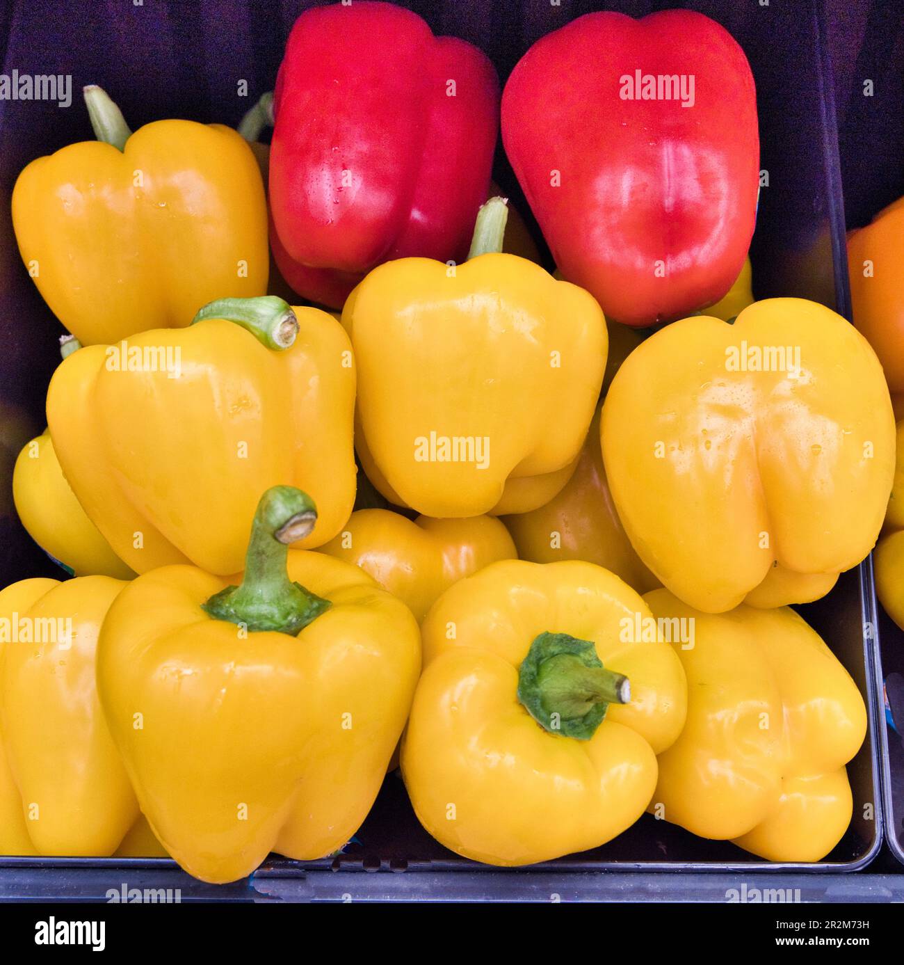 Display bright red bell peppers hi-res stock photography and images - Alamy