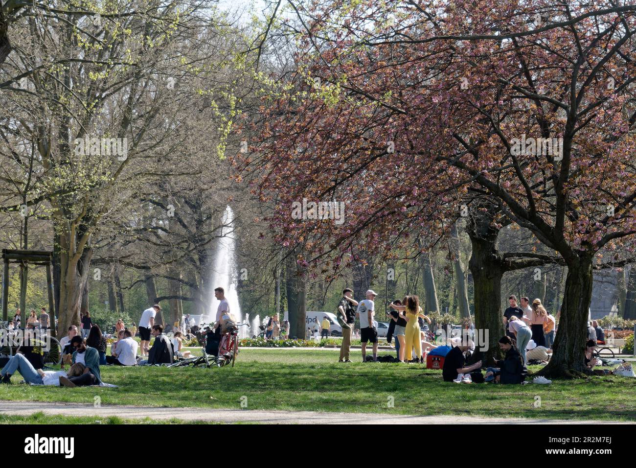 Frühling in Berlin , Treptower Park, Picnic, Hängematte, Kirschblüte,  Treptow-Köpenik, Berlin, Deutschland , Europa Stock Photo