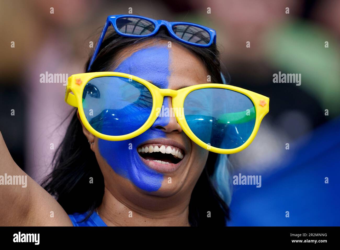 A Leinster fan in the stands before the Heineken Champions Cup final