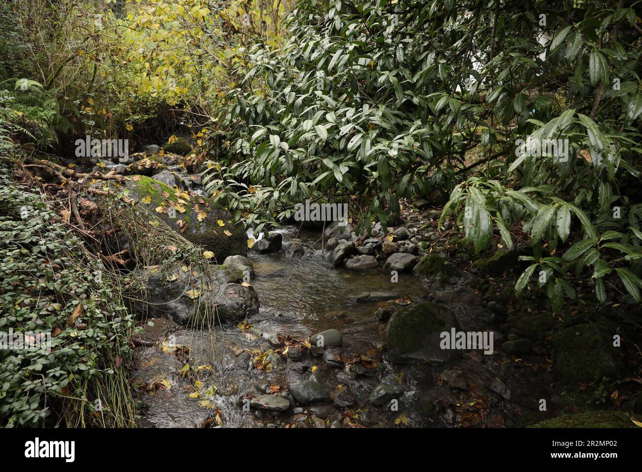 Mountain stream and rocks hi-res stock photography and images - Alamy