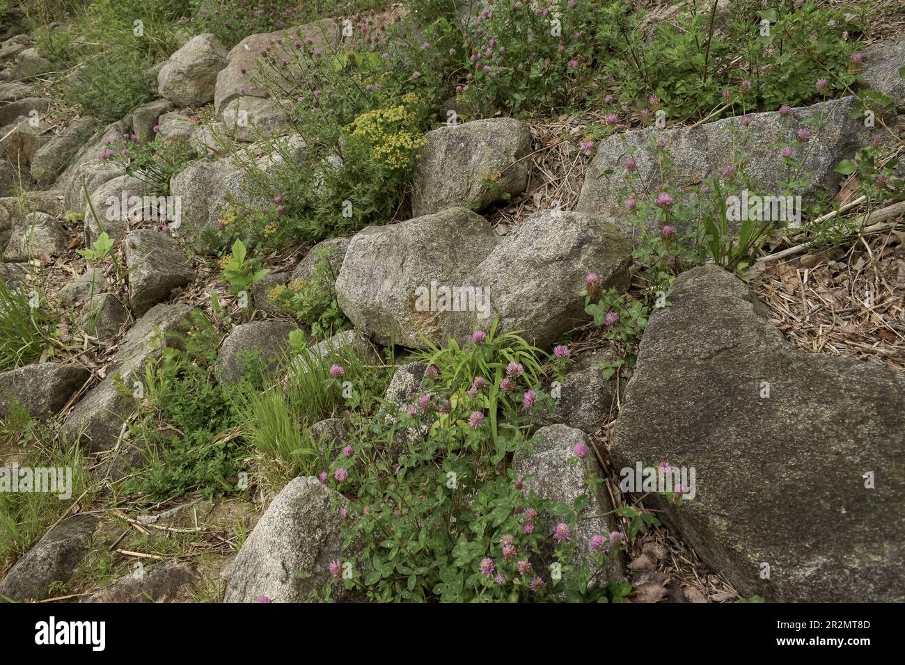 texture-rocks-mountain-hill-color-hi-res-stock-photography-and-images