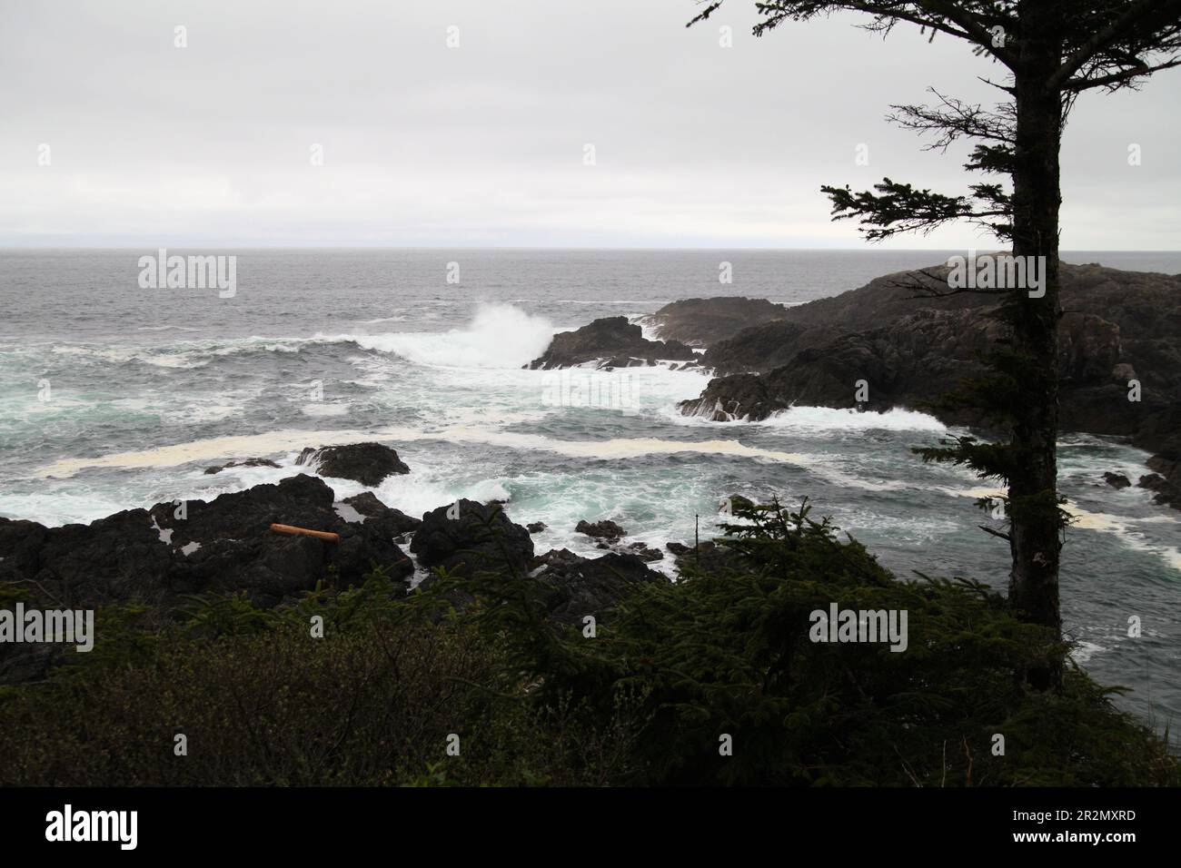 Amphitrite Point is a rocky park with walking trails, a ligthouse, and scenic lookouts located just south of Ucluelet, Vancouver Island, B.C. Stock Photo