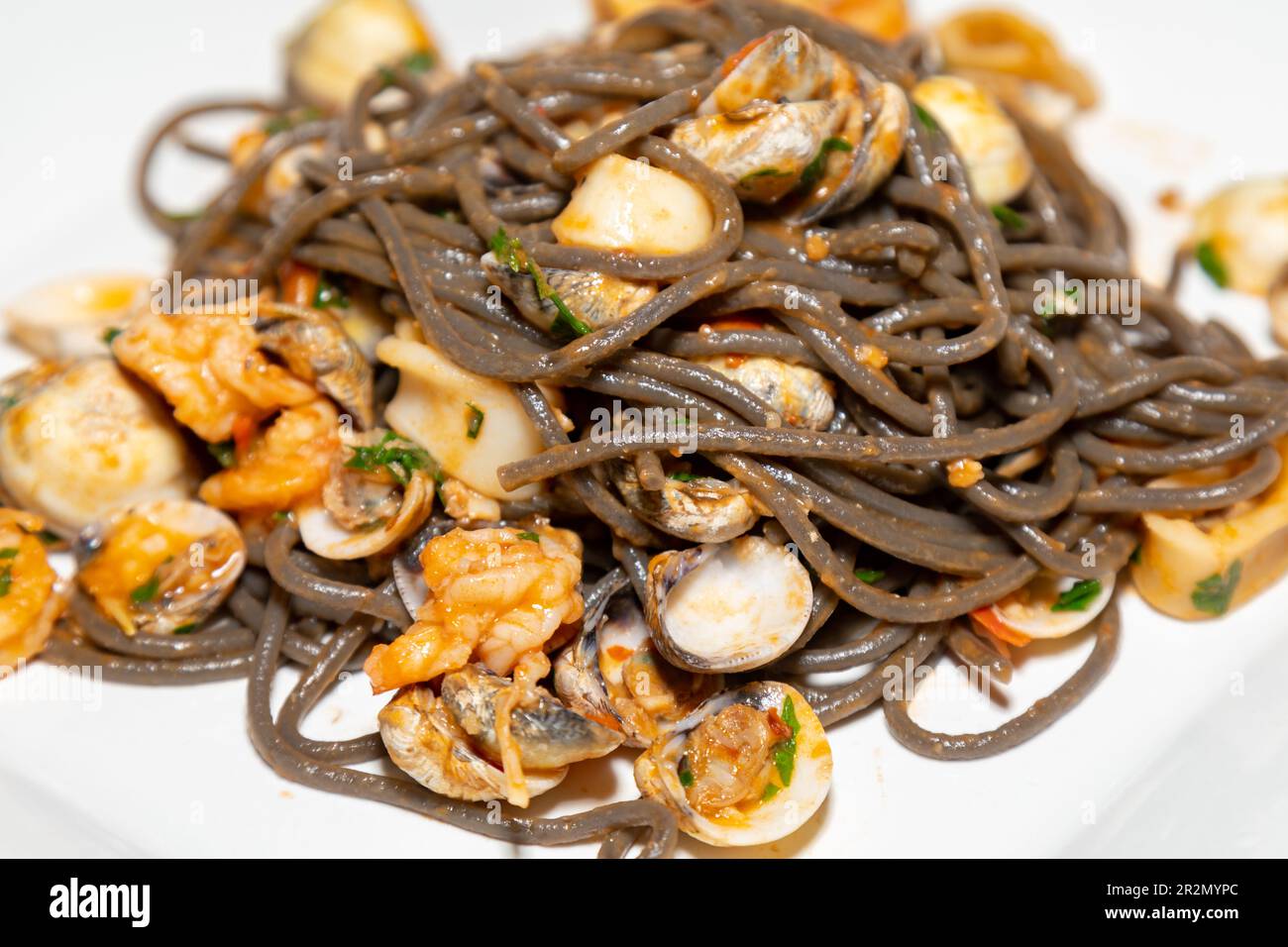 Pasta: pens, shells, fusilli and squid Stock Photo