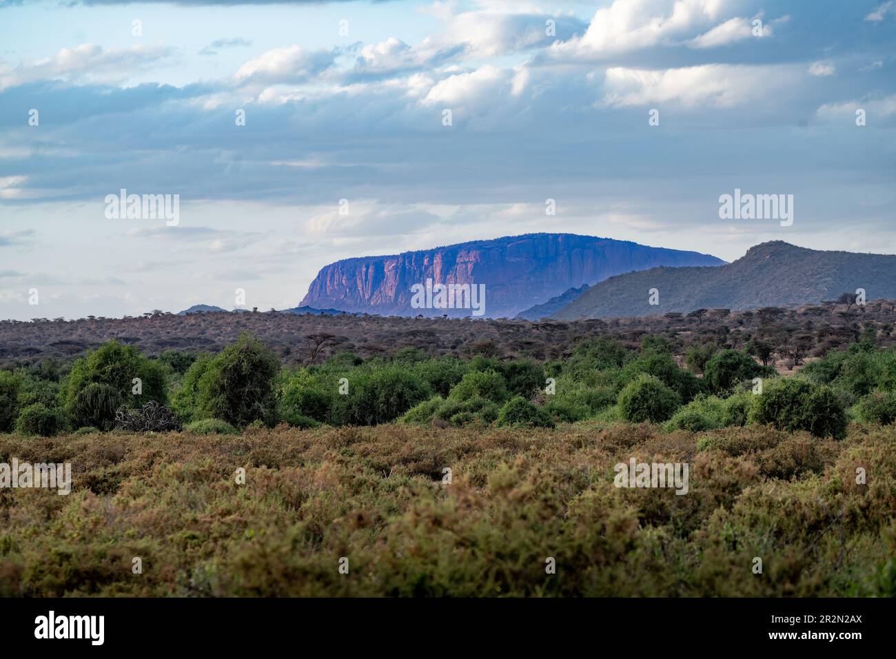 Mt Ololokwe, viewed from Samburu National Reserve, Kenya, East Africa Stock Photo
