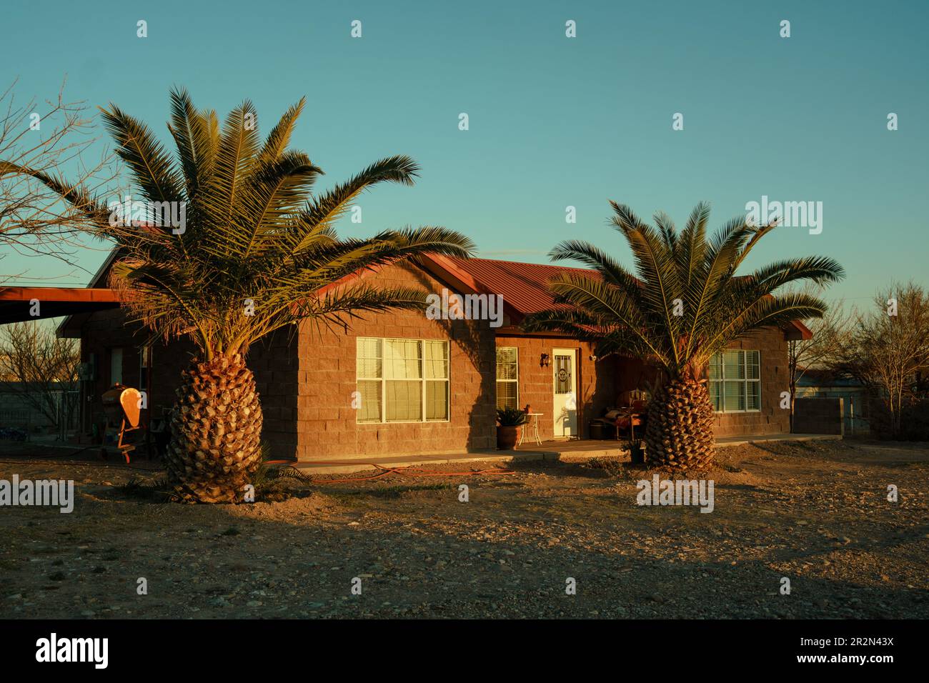 House with palm trees, Presidio, Texas Stock Photo Alamy