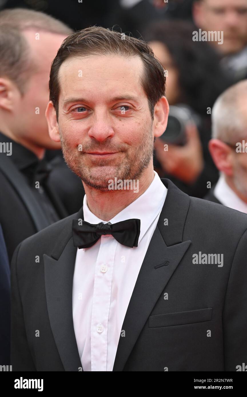 Cannes, France. 20th May, 2023. CANNES, FRANCE. May 20, 2023 Tobey