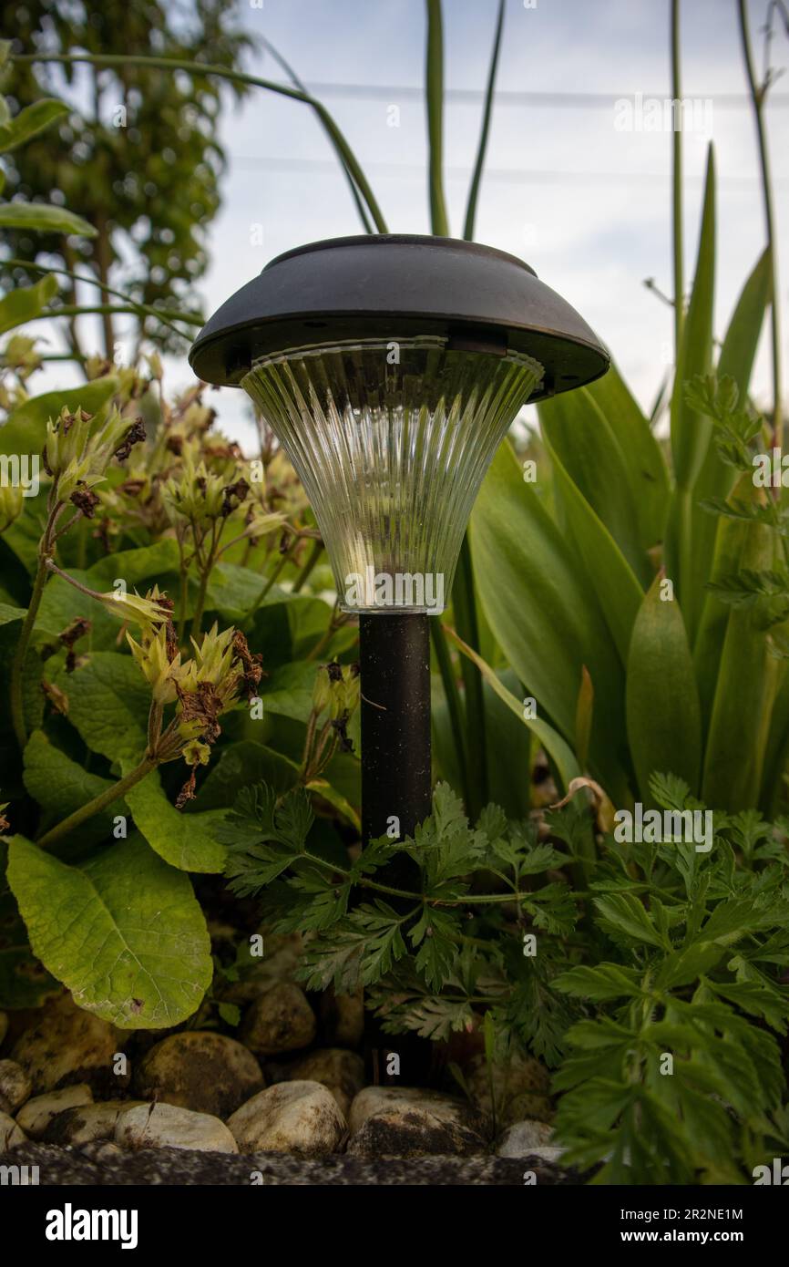 Garden bliss solar lights online