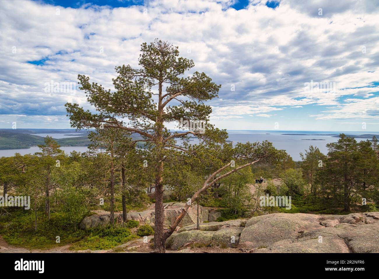 Skuleskogen National Park, Vaesternorrlands laen, Sweden Stock Photo