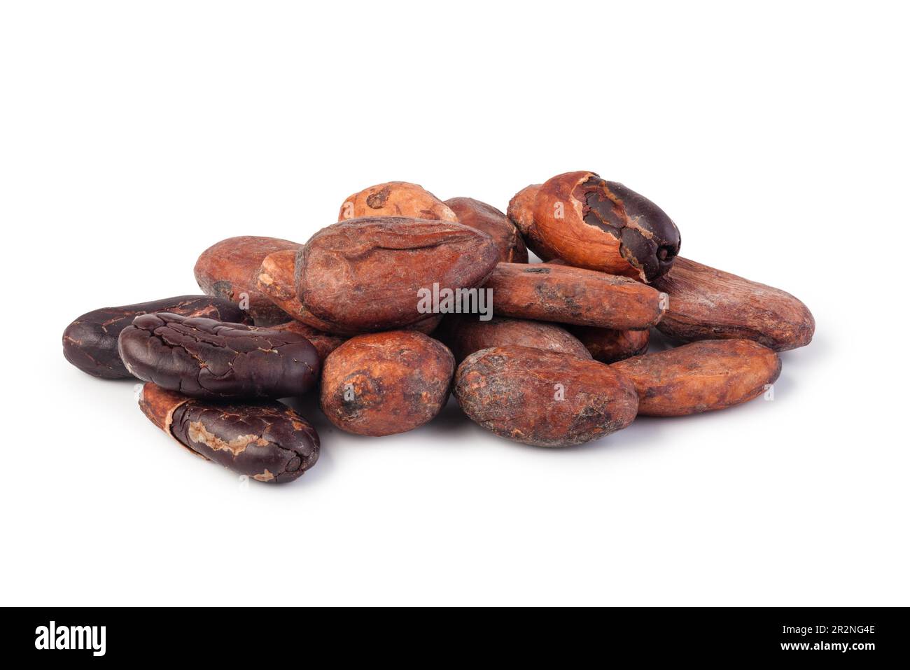 Cocoa beans Isolated on white background Stock Photo - Alamy