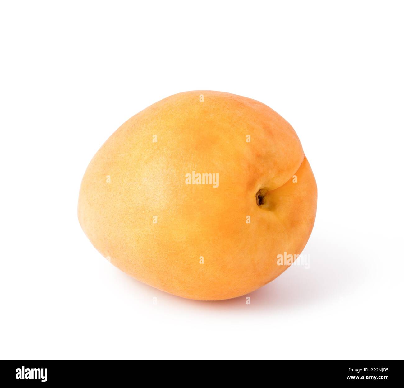 apricots isolated on white background Stock Photo - Alamy