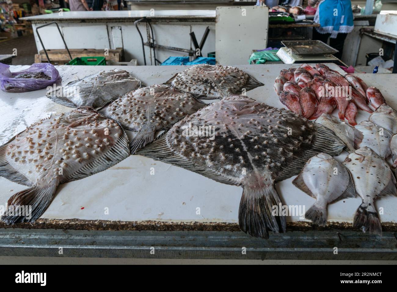 Fresh fish on sale at famous farmer market Pryvoz established in 1827 in Odesa, Ukraine on May 20, 2023 Stock Photo