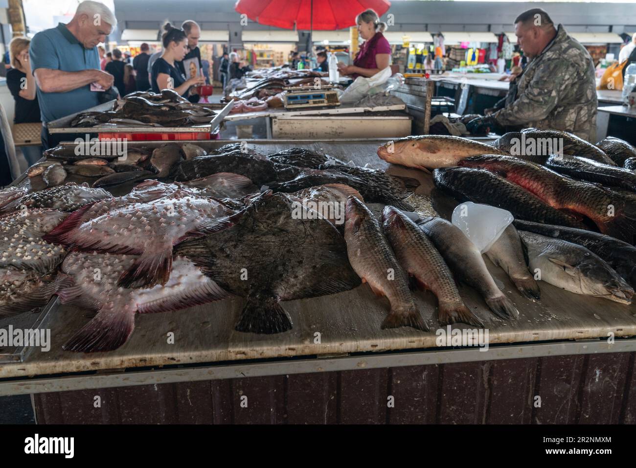 Vendor is selling fresh fish on famous farmer market Pryvoz established in 1827 in Odesa, Ukraine on May 20, 2023 Stock Photo