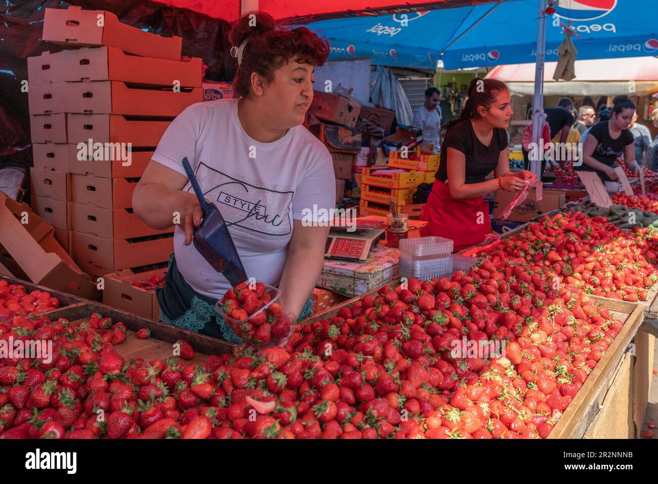 Vendor is selling strawberies on famous farmer market Pryvoz established in 1827 in Odesa, Ukraine on May 20, 2023 Stock Photo