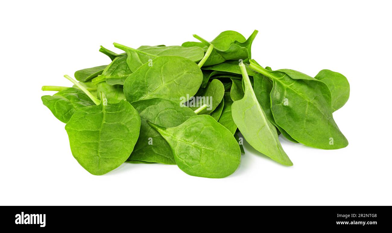 Spinach leaves isolated on white background Stock Photo - Alamy