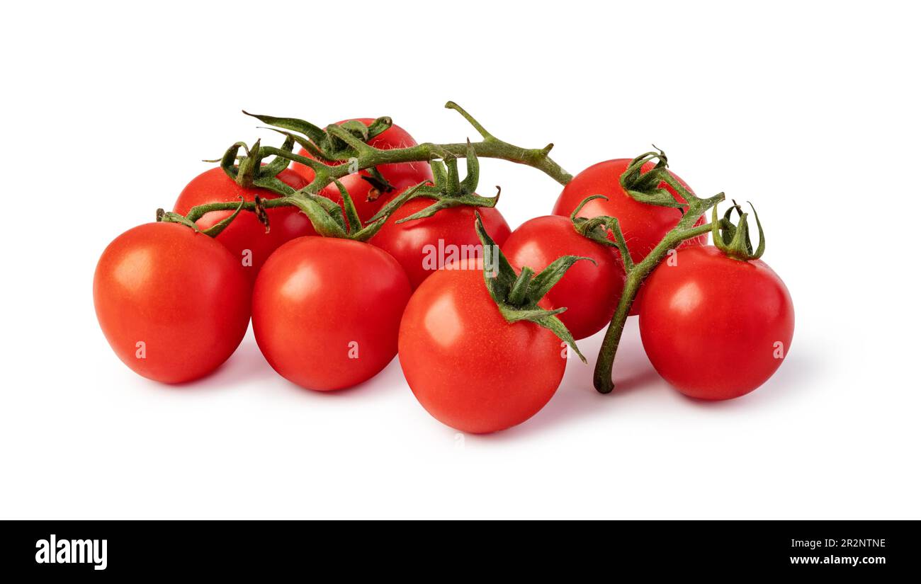 Tomato branch isolated on white background Stock Photo - Alamy
