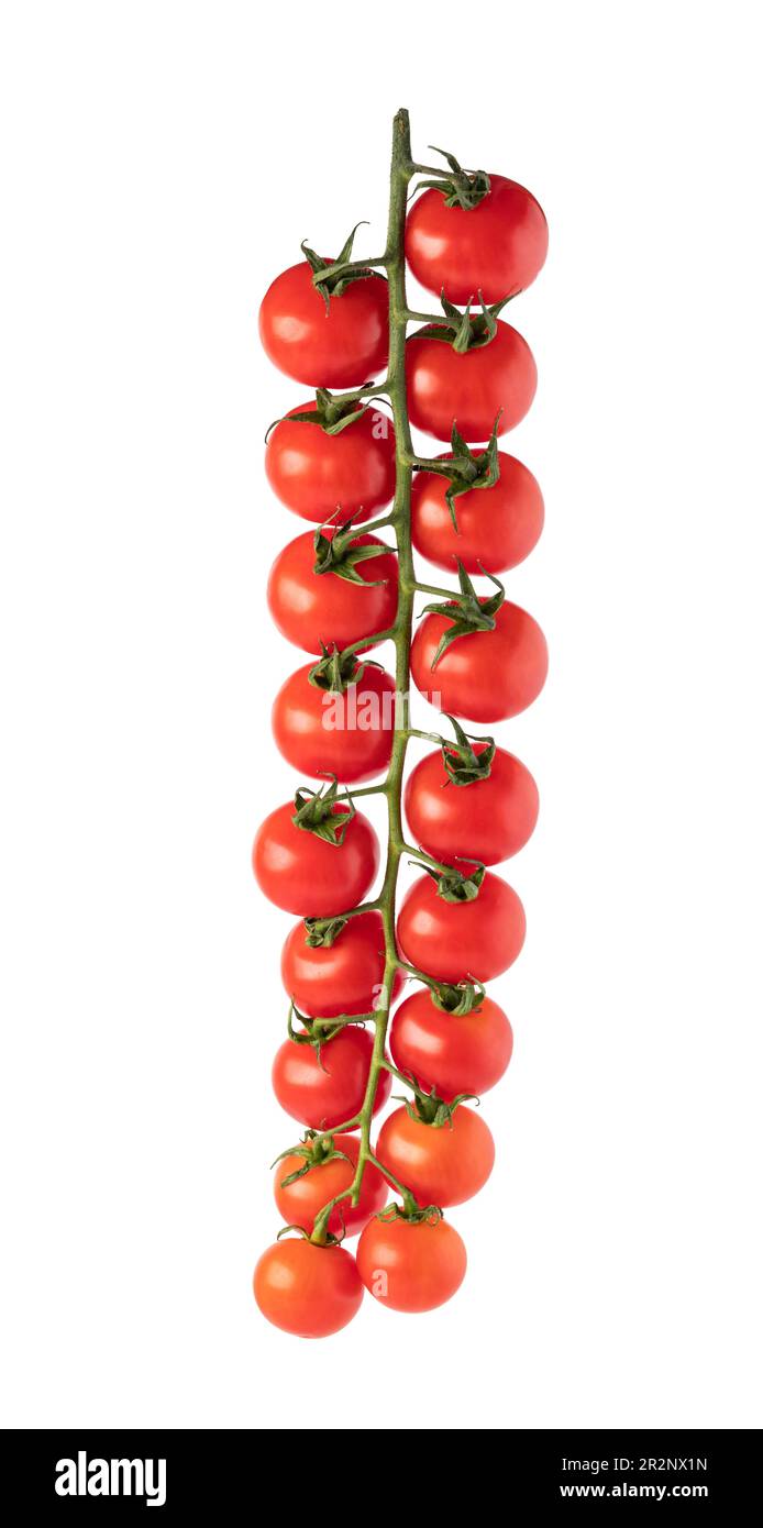 Tomatoes cherry branch isolated on white background Stock Photo - Alamy