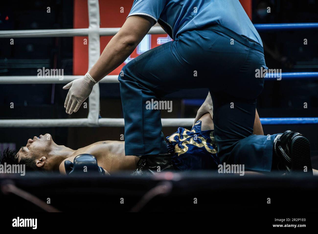 A referee is seen counting out after a Muay Thai boxer is knocked down, at Bangkok's Rajadamnern stadium. Muay Thai fights at Thailand’s iconic boxing Rajadamnern stadium, the dream stage for competitors and it is favourite for combat sports all over the world. Stock Photo