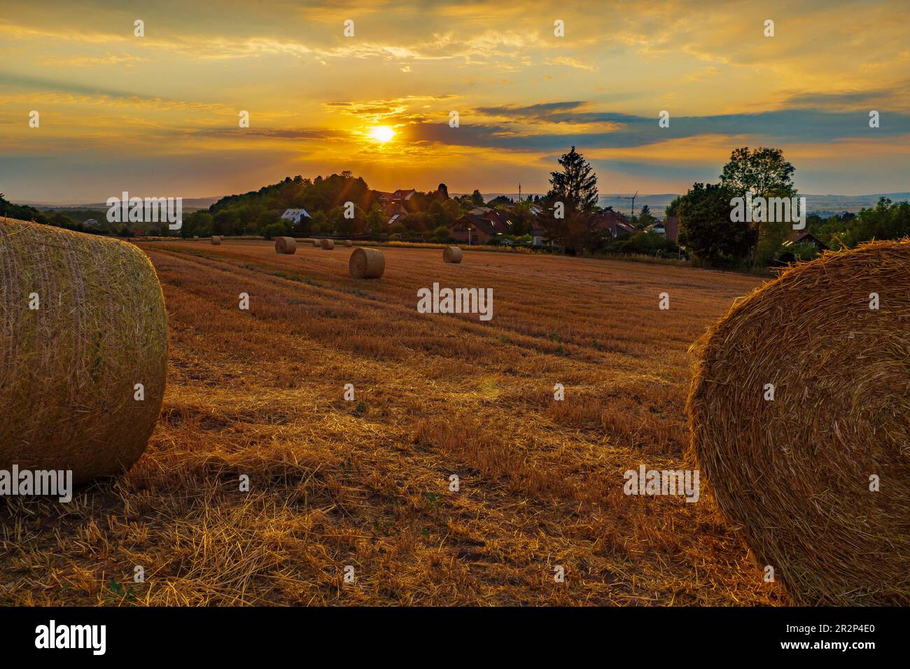 Sunset behind a stubble field with many straw rolls Stock Photo