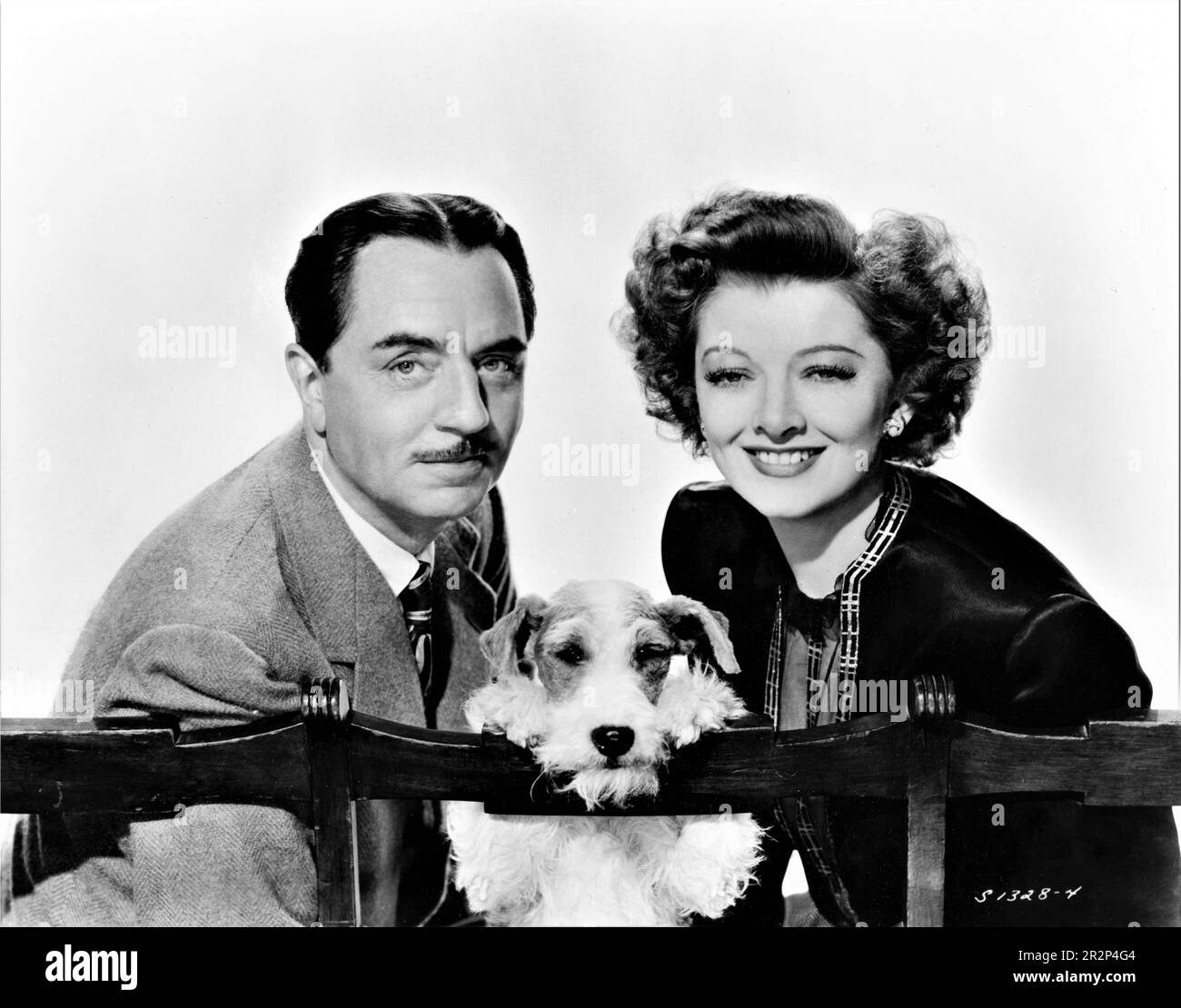 WILLIAM POWELL as Nick Charles MYRNA LOY as Nora Charles and ASTA the Dog Portrait in THE THIN MAN GOES HOME 1944 director RICHARD THORPE based on characters created by Dashiell Hammett original story Robert Riskin and Harry Kurnitz screenplay Robert Riskin and Dwight Taylor Metro Goldwyn Mayer (MGM) Stock Photo