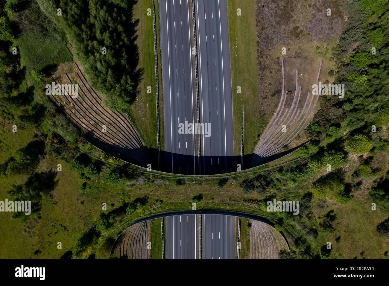 Animal crossing road tunnel hires stock photography and images Alamy