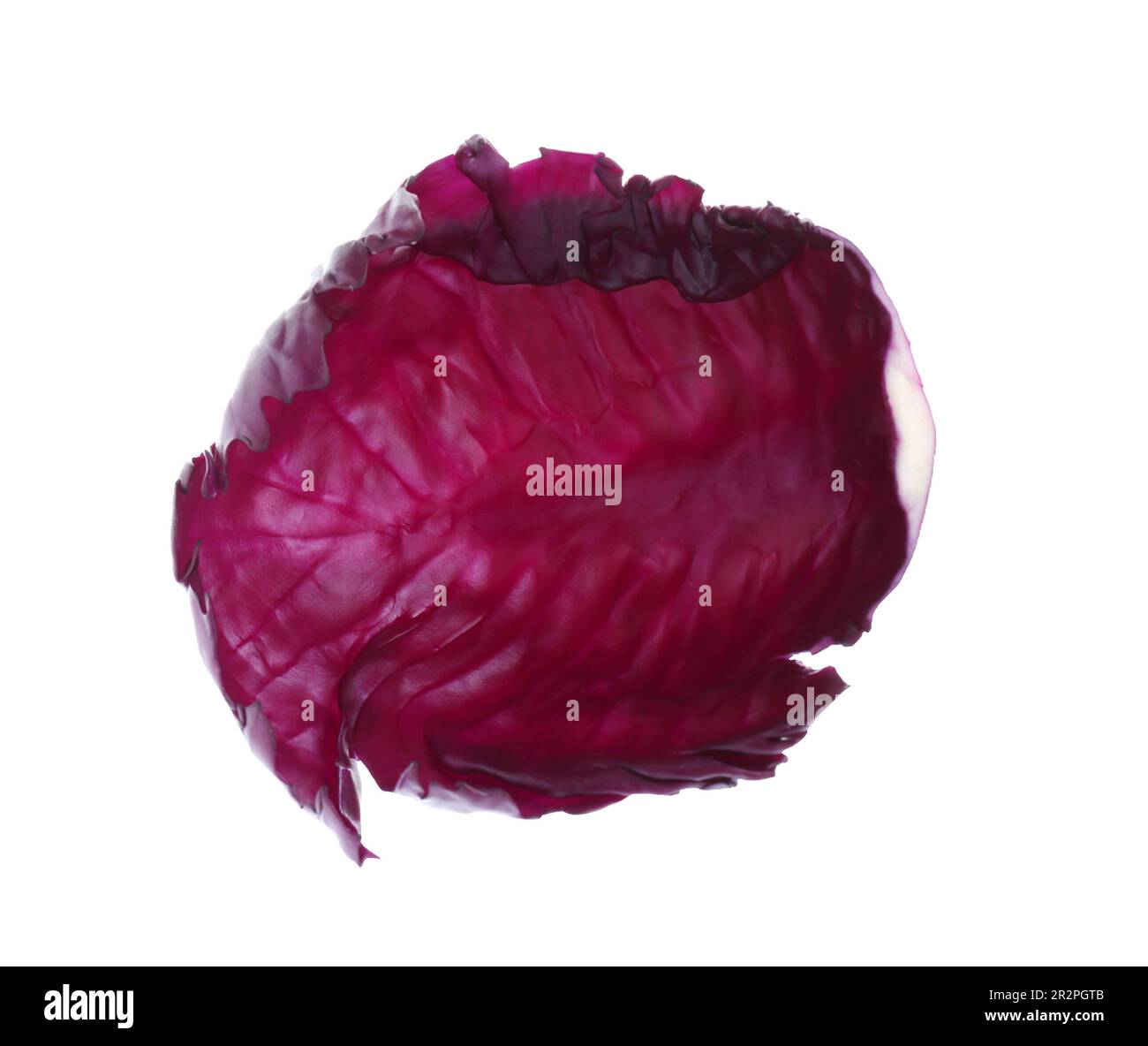 Fresh red cabbage leaf isolated on white Stock Photo Alamy