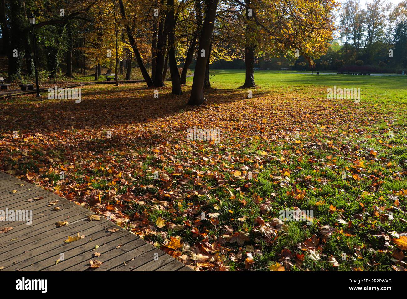 Picturesque view of park with beautiful trees and pathway on sunny day ...