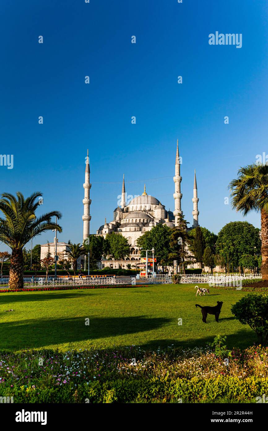 Blue Mosque(sultan ahmed mosque), Ottoman's imperial mosque, Historic