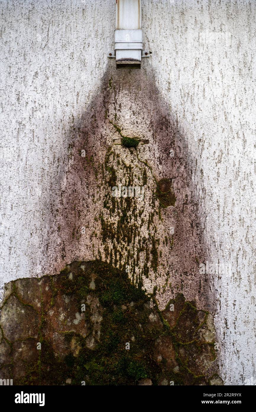 Mold on walls of building outside, humid tropical climate, damage wall