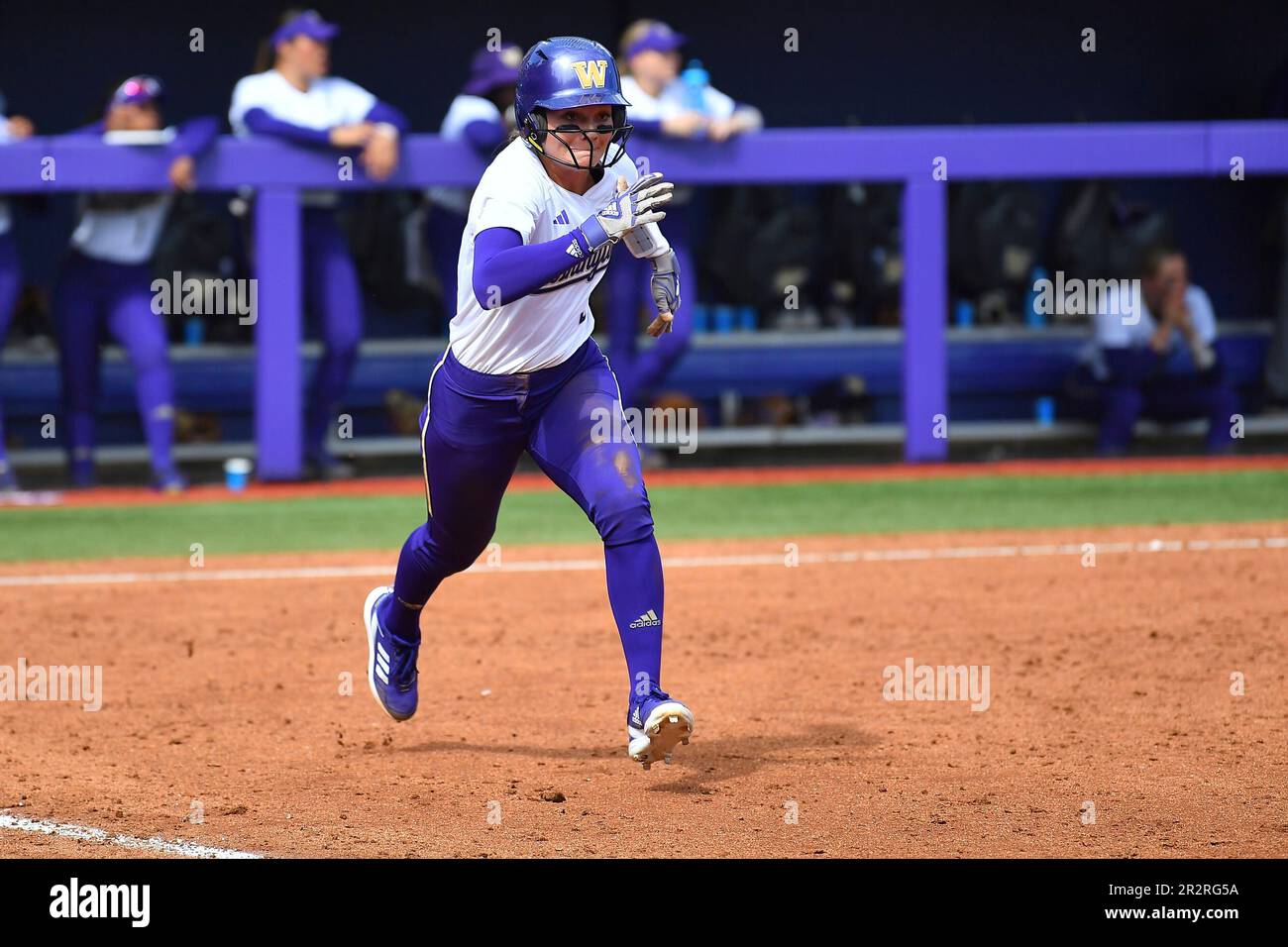 May 20, 2023: Washington infielder Rylee Holtorf (3) during the NCAA ...