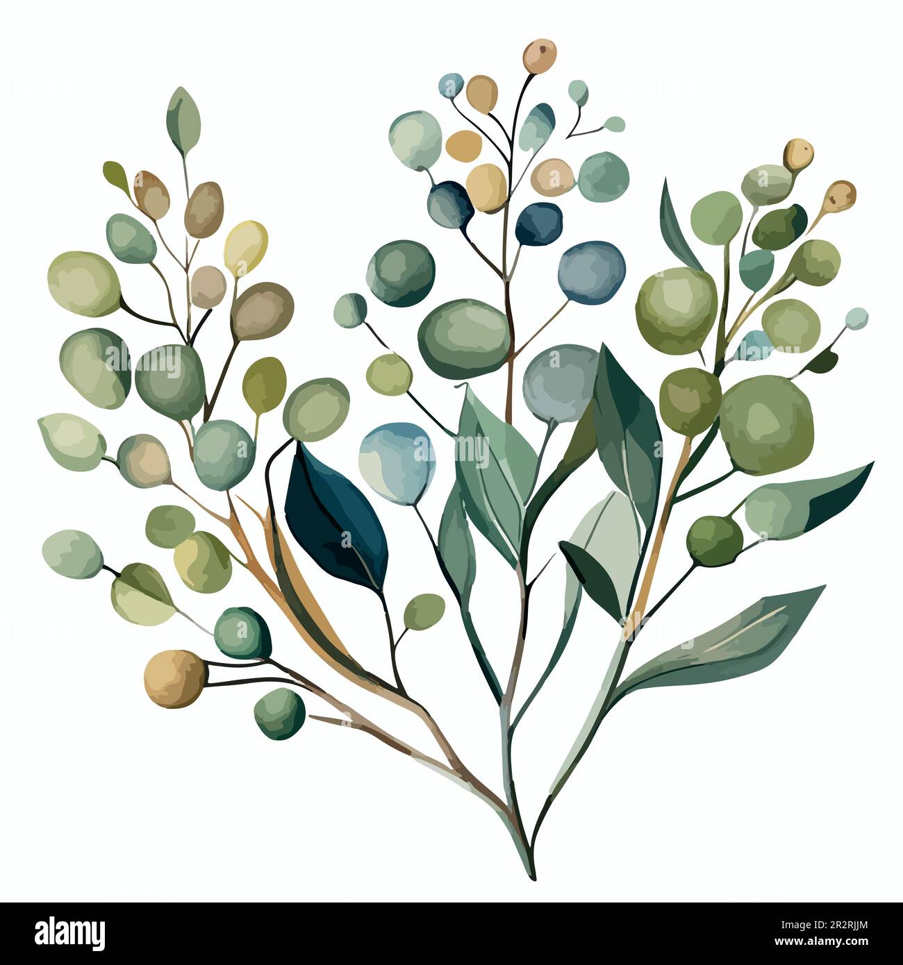 Watercolor eucalyptus bouquet illustration. Handpainted branches of