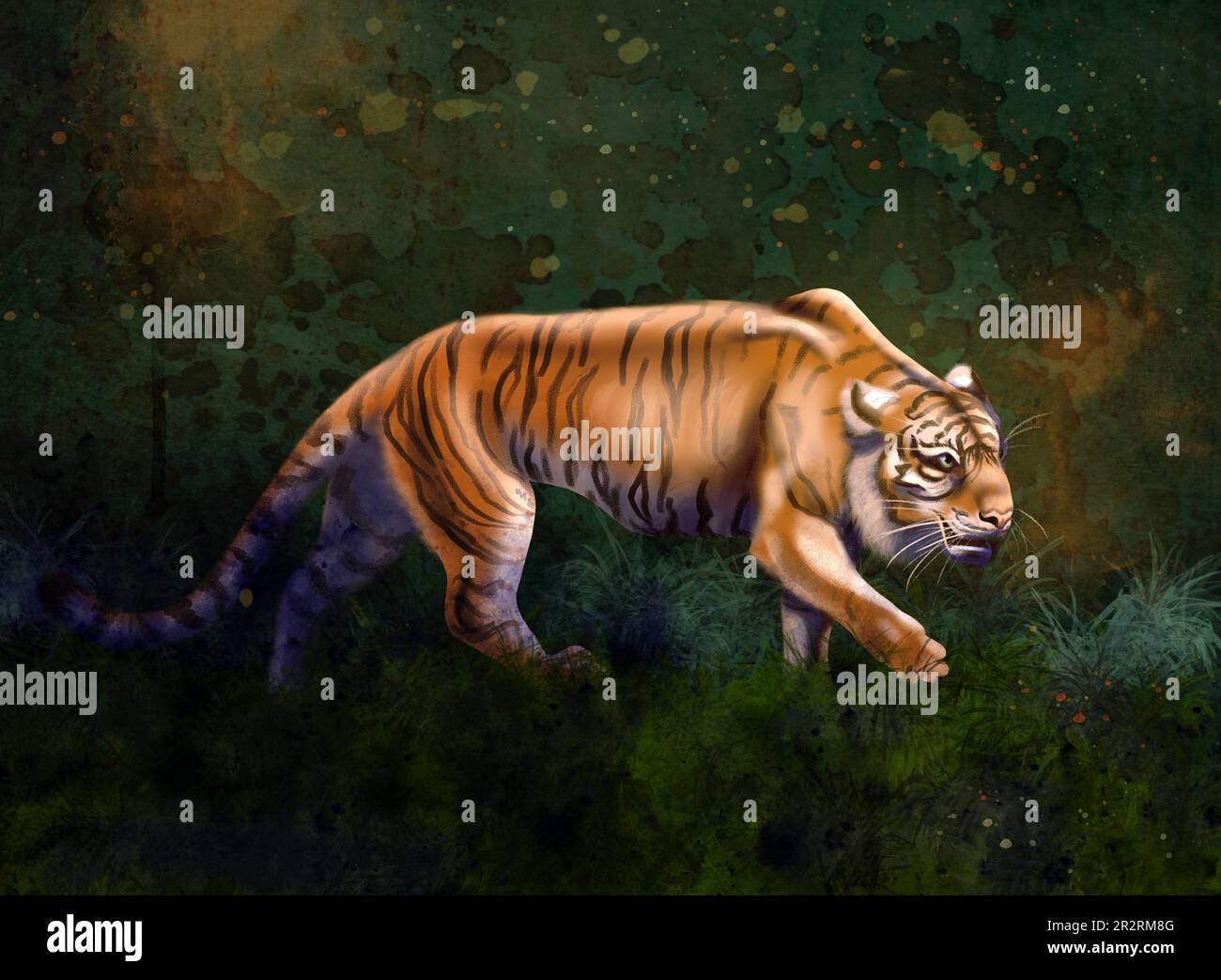 Digital illustration - a bright orange tiger walking in dark jungles Stock Photo