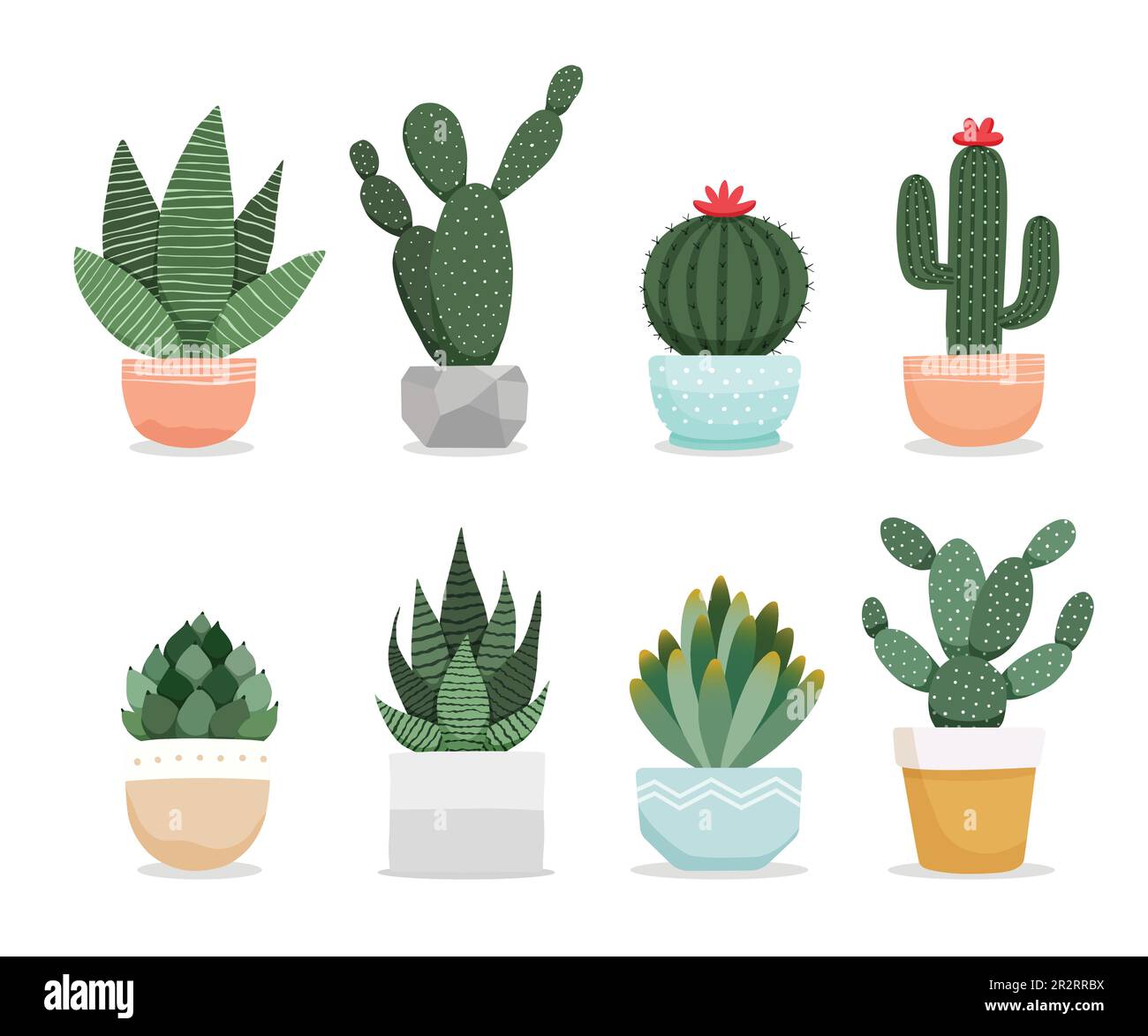 Set of cactus succulent plants in pots. Cacti houseplants indoor plants vector illustration