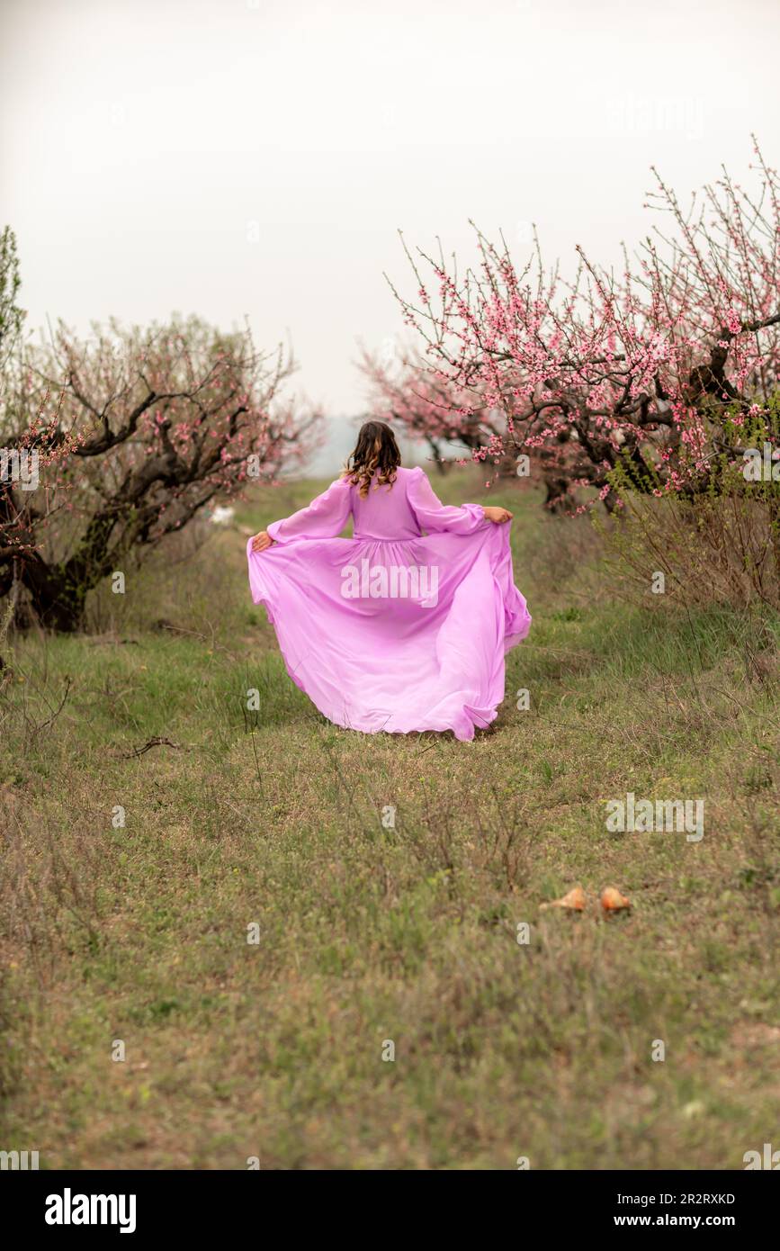 Woman peach blossom. Happy curly woman in pink dress walking in the garden of blossoming peach trees in spring Stock Photo