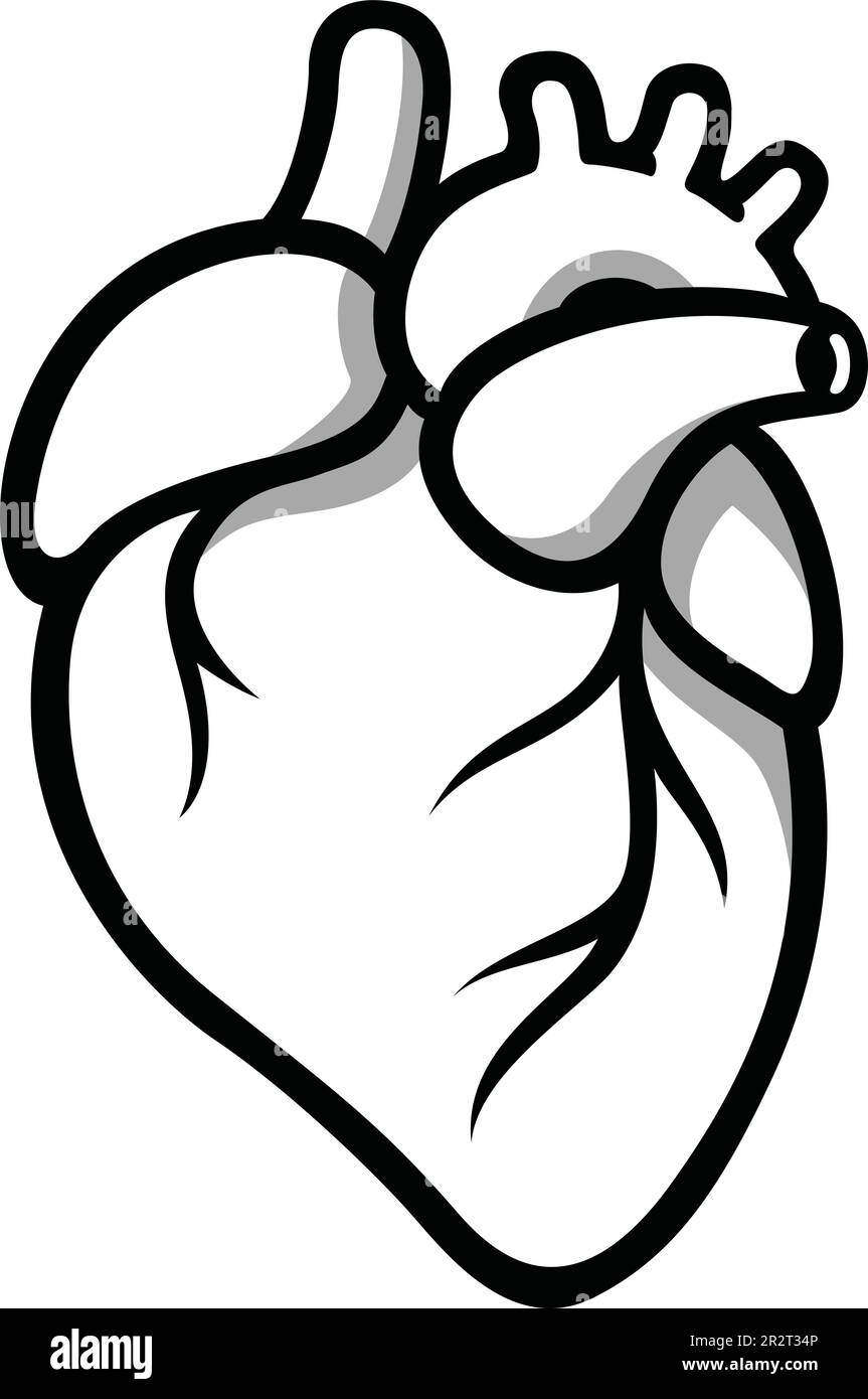 Simple Illustration of Anatomical Heart Stock Vector