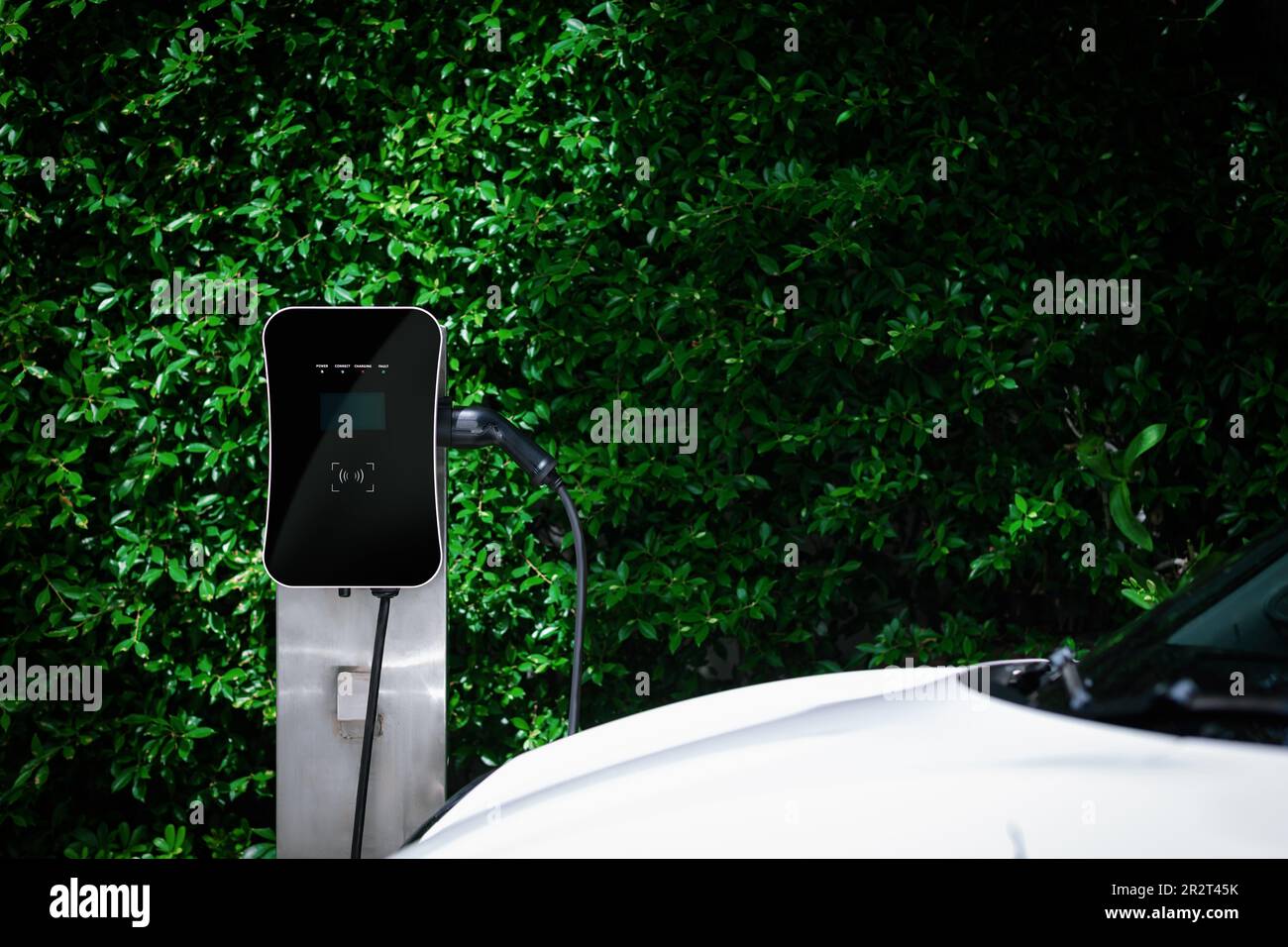 Side view of progressive electric vehicle parking next to public charging station with greenery, natural foliage background as concept for renewable Stock Photo
