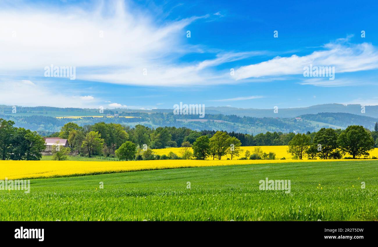 Summer landscape with green and yellow fields. European countryside. Stock Photo
