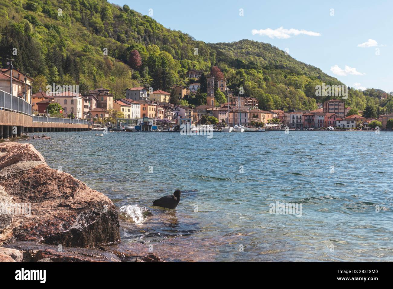 High angle view of Portoceresio, a town on Lake Lugano in the province of Varese, Italy. Copy space Stock Photo