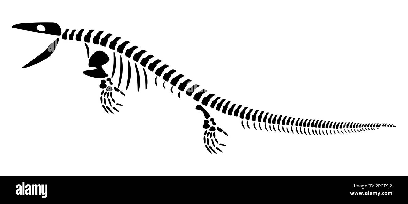 Mosasaurus skeleton . Silhouette aquatic dinosaurs . Side view . Vector . Stock Vector